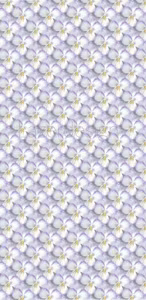 2021-1018 PAPPER  Lazerdesign Slimcard