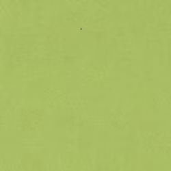 55530METALLIC Majestickarton 250 gr Limegrøn