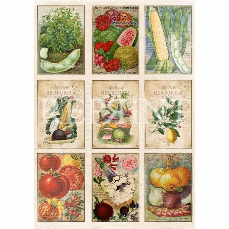 KP0066 Klippark A4 Grönsaker