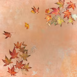 2021-548 PAPPER 14,5 x 14,5 cm