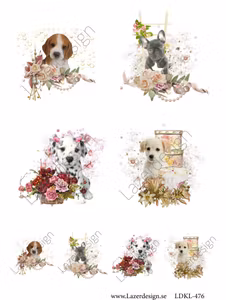 LDKL-476Klippark Hundar
