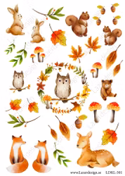 LDKL-501 klippark A4 Höstmotiv