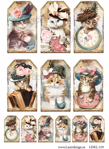 LDKL-519 klippark A4