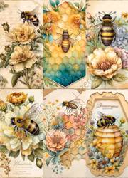 2023-20 SLIMPACK  Honung o Bi