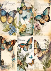 2023-22 SLIMPACK  Fjärilar