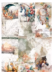 2023-30 SLIMPACK  Indian 1