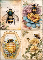 2023-221 JUNK  BI NR  2