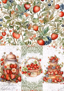 2023-34 SLIMPACK Jordgubbar 3