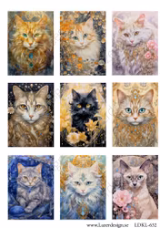 LDKL- 632 Klippark Katter