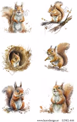 LDKL-644 Klippark Ekorrar