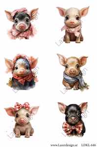 LDKL-646 Klippark Goa grisar!