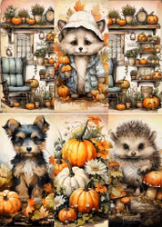 2023-SLIM-43 SLIM Höst