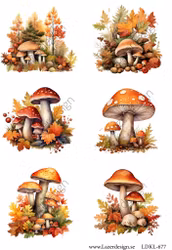 LDKL-677 Klippark Svamp