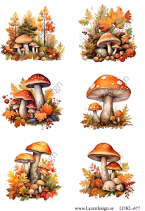 LDKL-677 Klippark Svamp