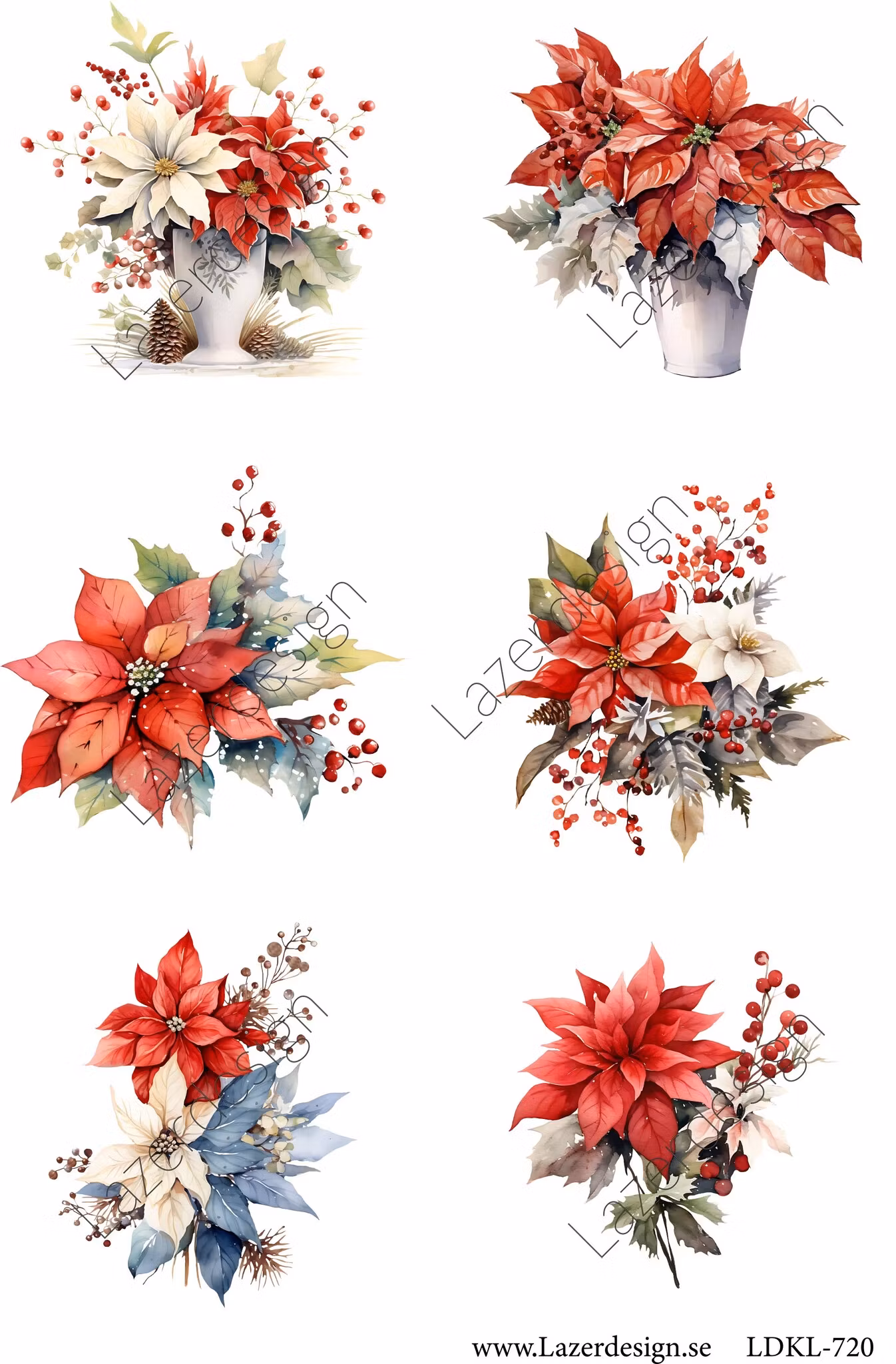 LDKL-720 Klippark Julblommor