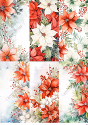 2023-61 SLIMPACK  Jul Blommor