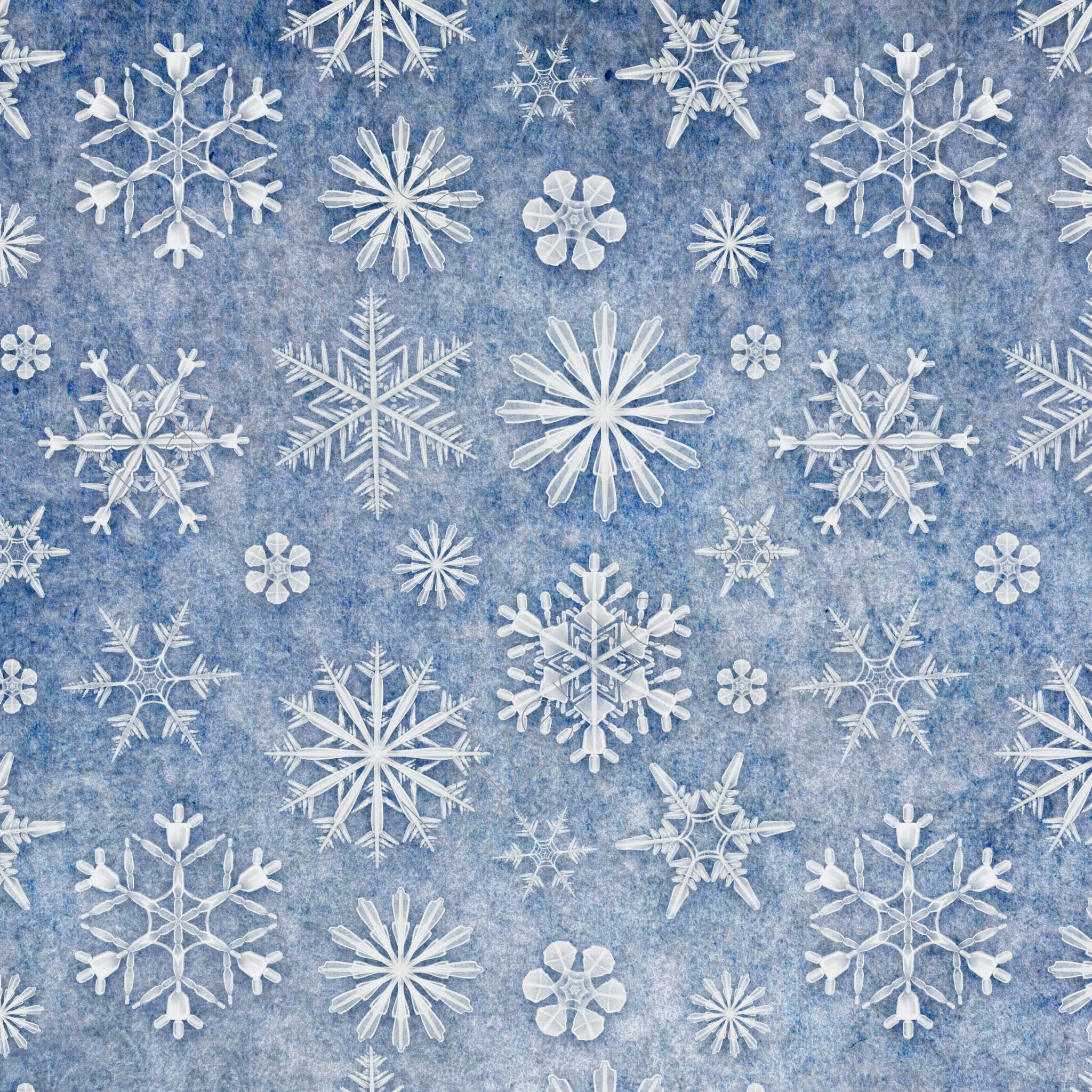 2023-31x31-50 Papper Blå bakgrund