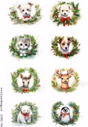 LDKL-769 Klippark  Sötnosar