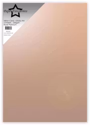 PFSS105  1 st Mirror Card - Glossy A4 Rose Platinum