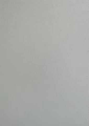 12490 Play and Cut 1 st Pearl - A4 Silver