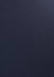 12498 Play and Cut 1 st Pearl - A4 Blåsvart