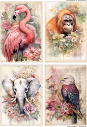 2024-503 JUNK  VILDA DJUR 4