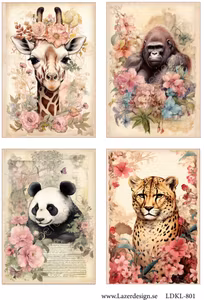 LDKL- 801 Klippark vilda djur