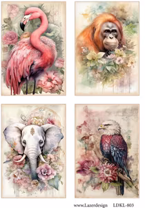 LDKL- 803 Klippark vilda djur