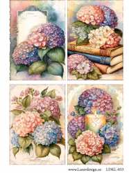 LDKL- 833 Klippark Hortensia