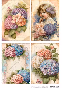 LDKL- 834 Klippark Hortensia