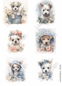 LDKL- 845 Klippark Hundar