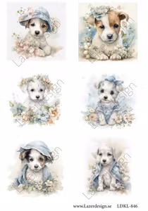 LDKL- 846 Klippark Hundar