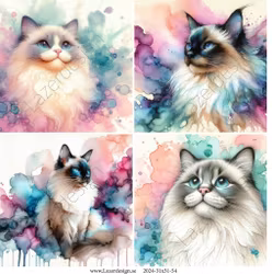 2024-31x31-54 Katter