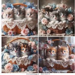 2024-31x31-57 Kattungar