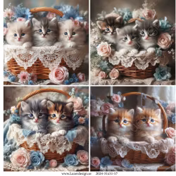 2024-31x31-57 Kattungar