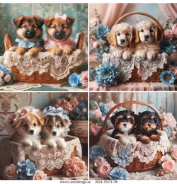 2024-31x31-58 Valpar