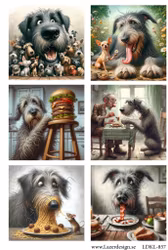 LDKL- 857 Klippark HUNDAR