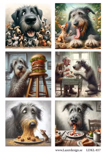 LDKL- 857 Klippark HUNDAR