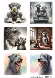 LDKL-858 Klippark HUNDAR