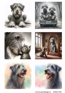 LDKL-858 Klippark HUNDAR