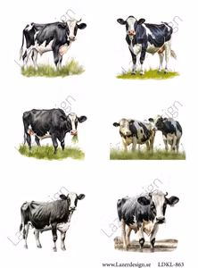 LDKL-863 Klippark Kor