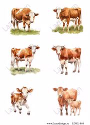 LDKL-864 Klippark Bruna Kor