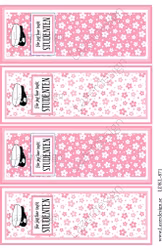 LDKL-871 Klippark Student