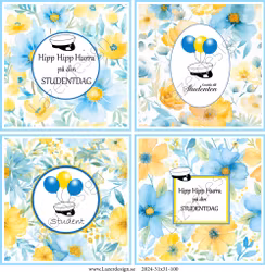 2024-31x31-100 STUDENT