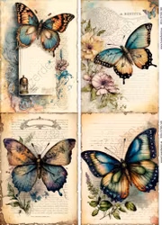 2024-540 JUNK FANTASY