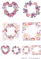 LDKL-227 Klippark  Blommor