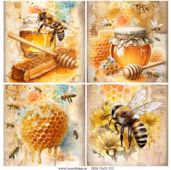 2024-31x31-313 BI.......