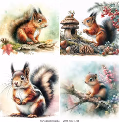 2024-31x31-311 Ekorrar