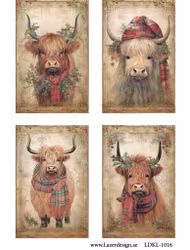 LDKL-1016 Klippark Jul kossor