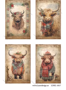 LDKL-1017 Klippark Jul kossor